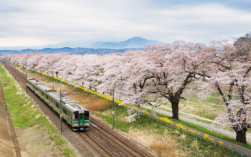 Japanische Bahn